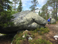 лес, камни,гора